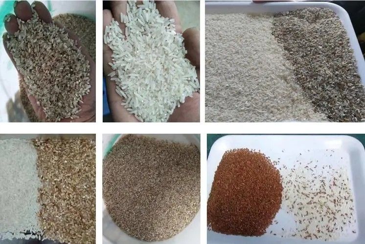 High Accuracy Automatic CCD Rice Color Sorter with Japan Nikon Lens and 5-10t/h Throughput