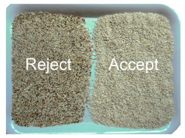 Ccd Parboiled Rice Color Sorter Automatic For Separating Impurity