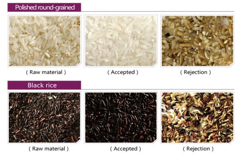 Multi-Function 6 Chutes Rice Grain Color Sorter Selctor Machine Sorting For Rice Cereals