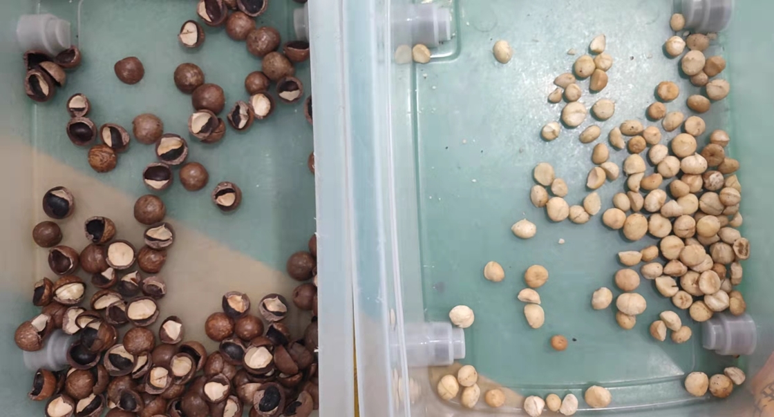 Automatic Mini Macadamia Nuts Color Sorter Portable With Wheel