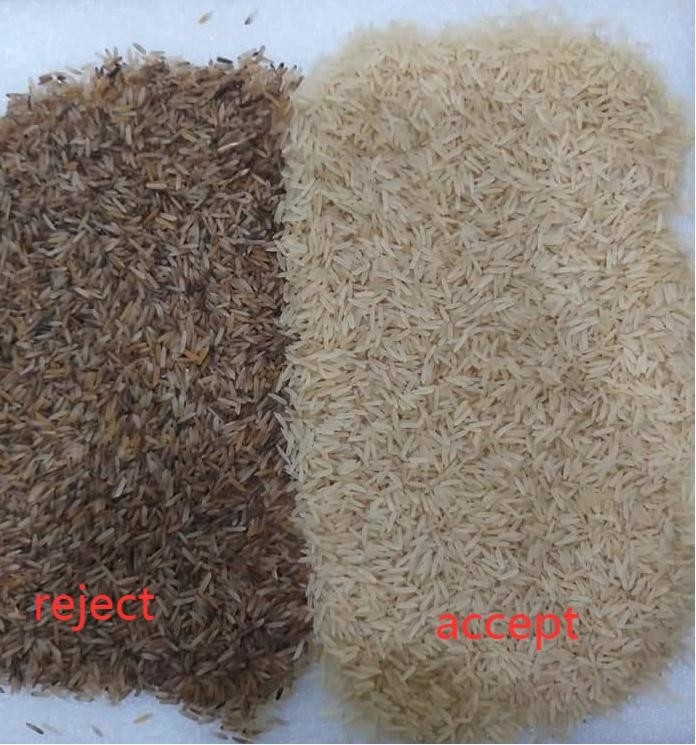 WENYAO Parboiled Japonica Sorghum Rice Color Sorter 8 Chutes