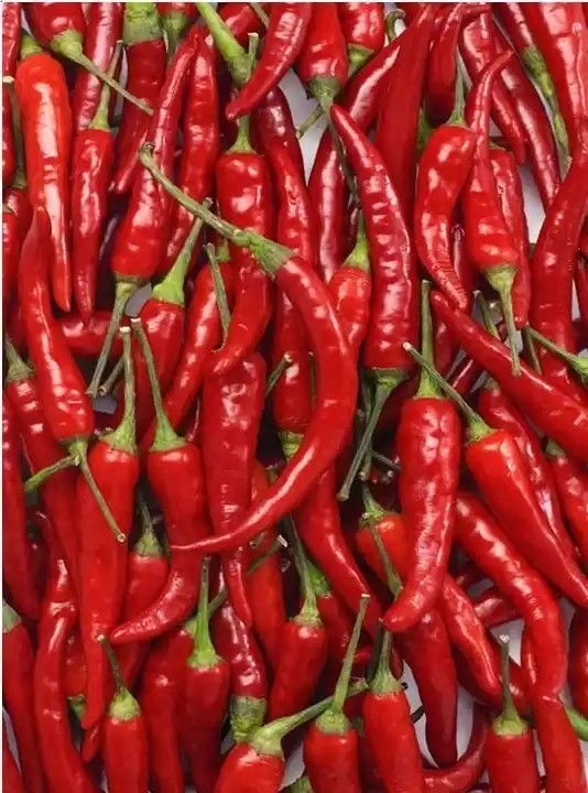 Hot Pepper Chili Belt Color Sorter With RGB Camera