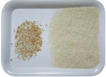 WENYAO Peeled Peanuts Nuts Rice Color Sorter Machine With CCD LED Automatically