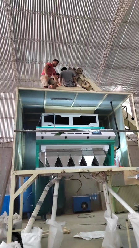 Wenyao HDPE LDPE PP ABS Plastic Color Sorter Machine 99.9% Accuracy