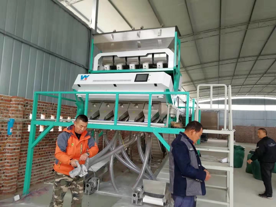 Poland Rye Beans Color Sorter Machine For White Beans Sorting And Cleaning