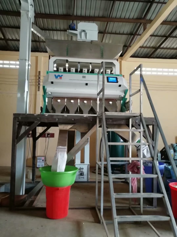 Poland Rye Beans Color Sorter Machine For White Beans Sorting And Cleaning