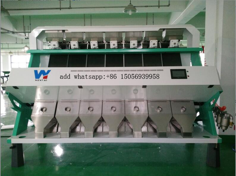 AI Self Learning CCD Optical Multifunction India Garlic Color Sorter High Accuracy