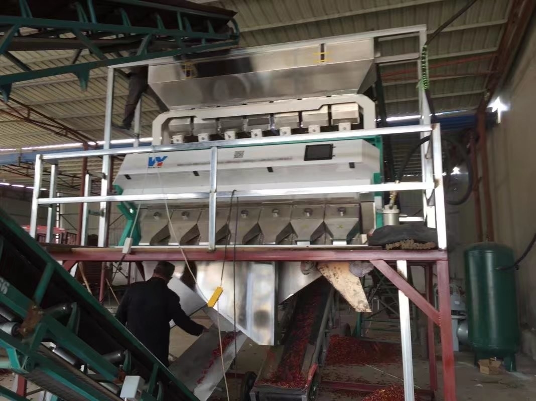 WENYAO Parboiled Japonica Sorghum Rice Color Sorter 8 Chutes
