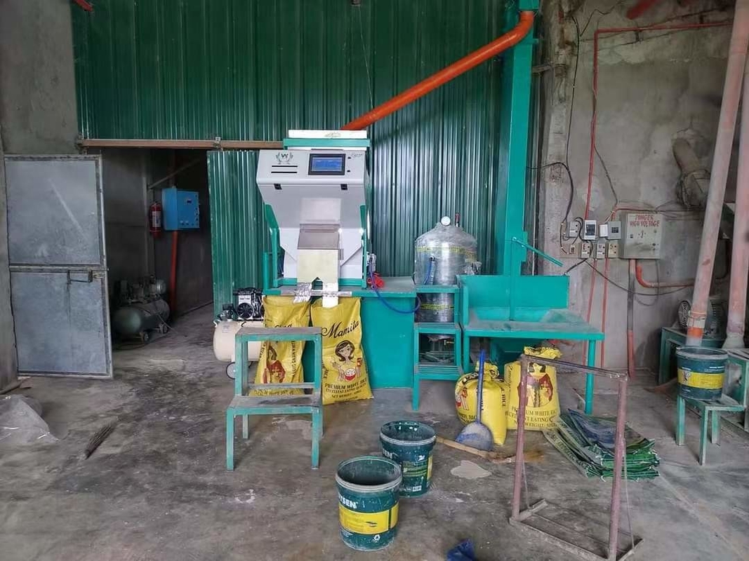 Humanized Type Hazelnut Color Sorting Machine 64 Chute