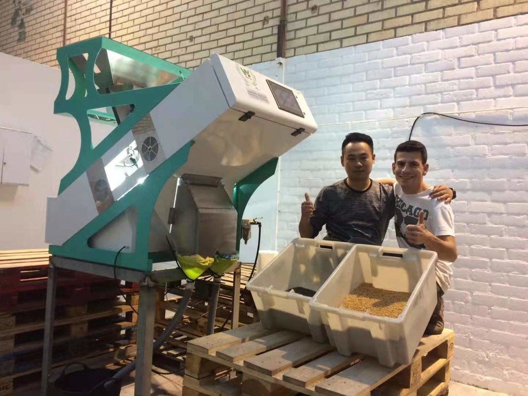 Humanized Type Hazelnut Color Sorting Machine 64 Chute