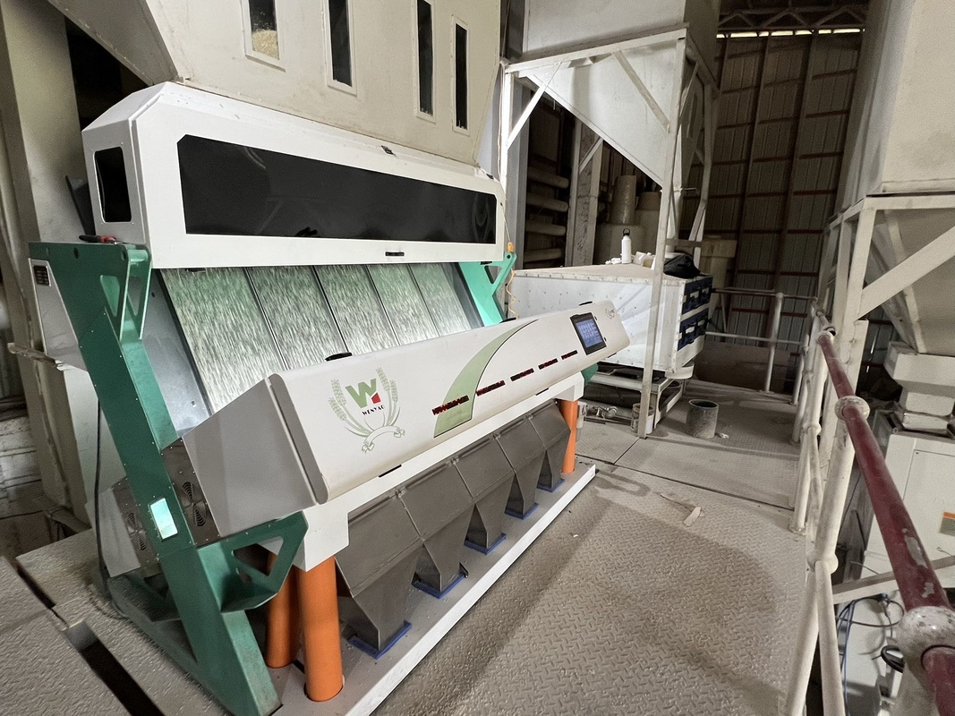WENYAO Parboiled Japonica Sorghum Rice Color Sorter 8 Chutes