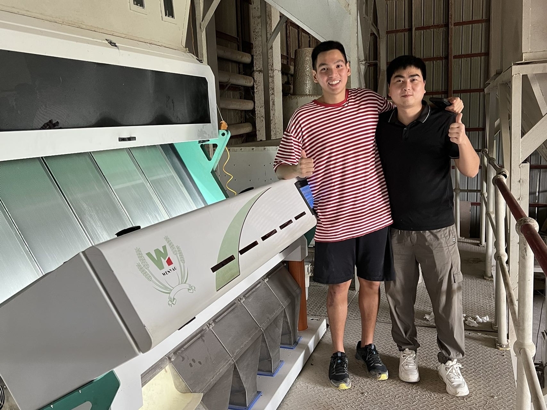 WENYAO Parboiled Japonica Sorghum Rice Color Sorter 8 Chutes