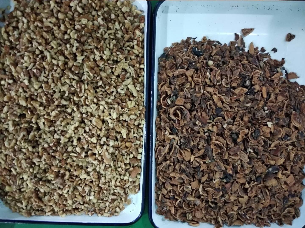 WENYAO Walnut Shell Removal Machine Seed Screening AI Nut Color Sorter Machine