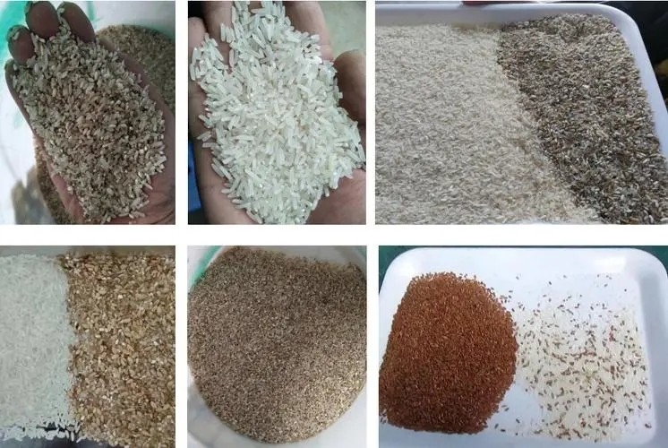 Compact Parboiled Rice Color Sorting Machine High Speed Accuracy
