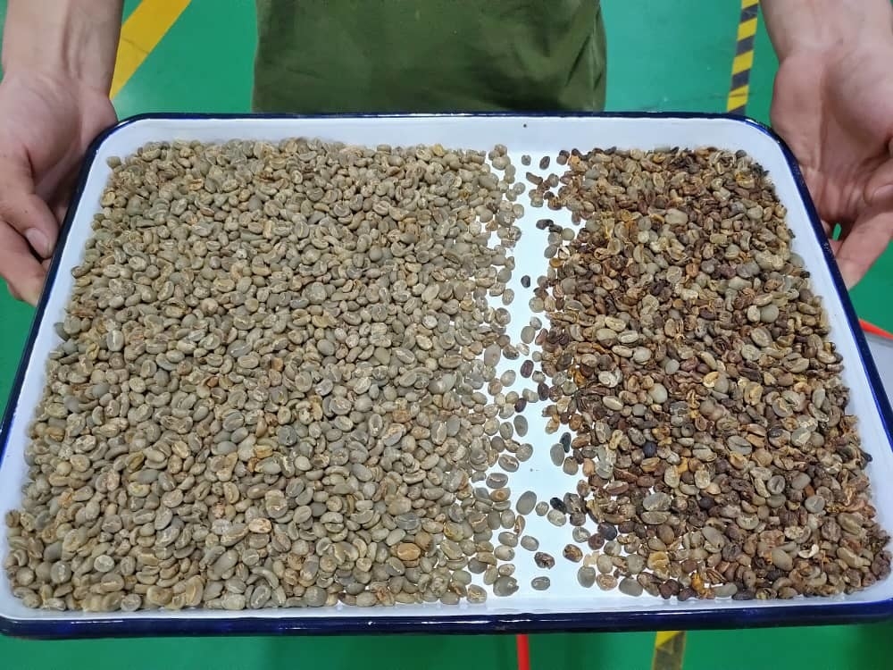 Compact Parboiled Rice Color Sorting Machine High Speed Accuracy