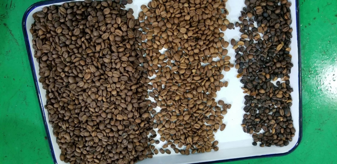 FPGA Chip Rosehip Berry Mustard Lotus Flax Seed Color Sorter Easy Operation