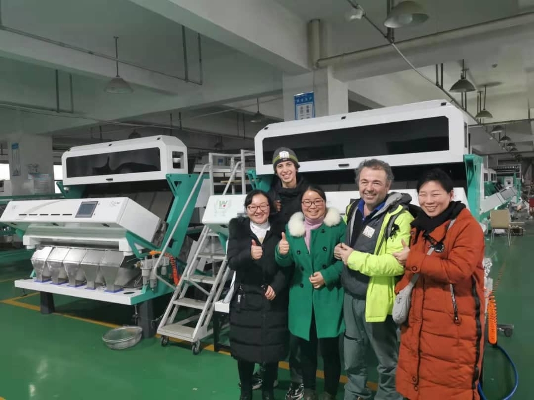 Smart 8 Chutes Wheat Paddy Grain Color Sorter CCD Optical CE ISO9001 CE