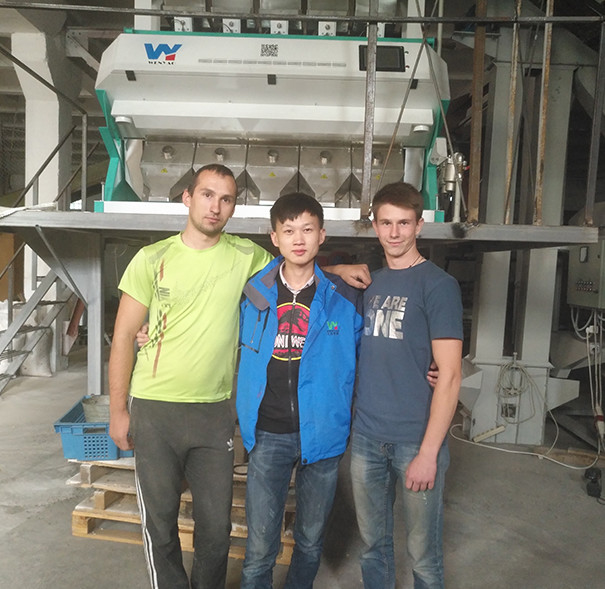 Smart 8 Chutes Wheat Paddy Grain Color Sorter CCD Optical CE ISO9001 CE