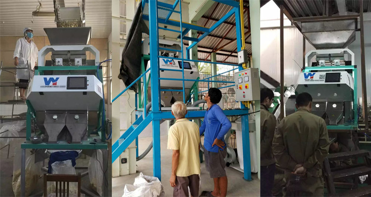 8 Chutes 512 Channels Chia Seeds Color Sorter Machine With RGB Camera