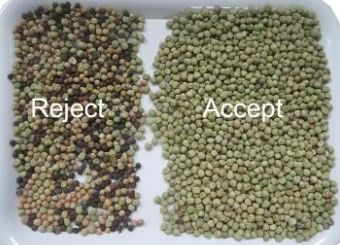 Beans Grain Cereal Wheat Corn Seeds Tea Nuts Color Sorter Wifi Remote