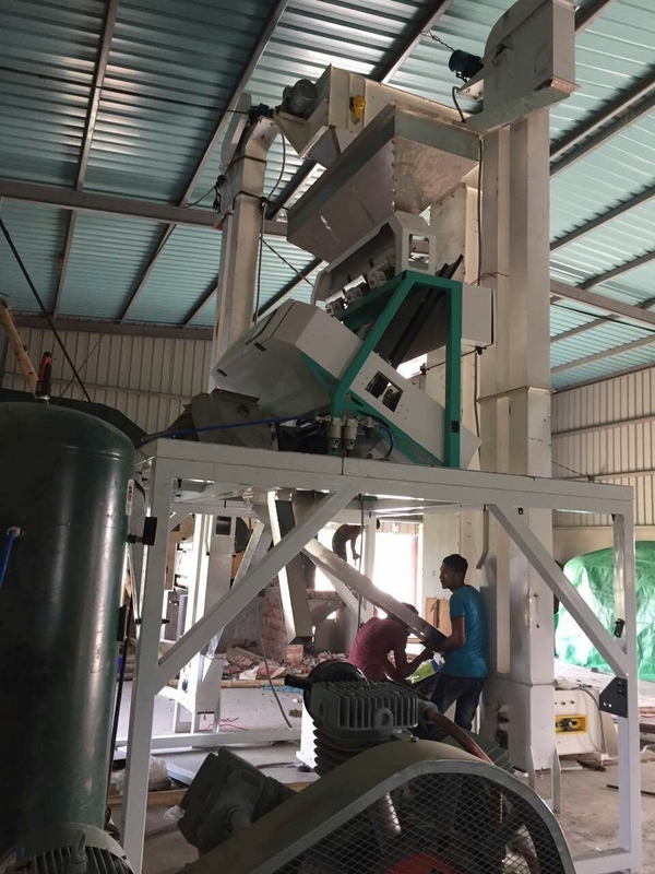 High accuracy spice colour sorter clove color sorting machine cumin color sorter separator with 2 years warranty