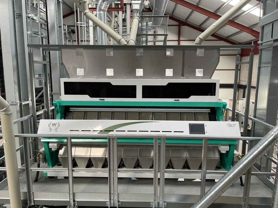 Wenyao Rice Grain Color Sorting Machine Plastic Coffee Beans Peanuts Colour Sorter