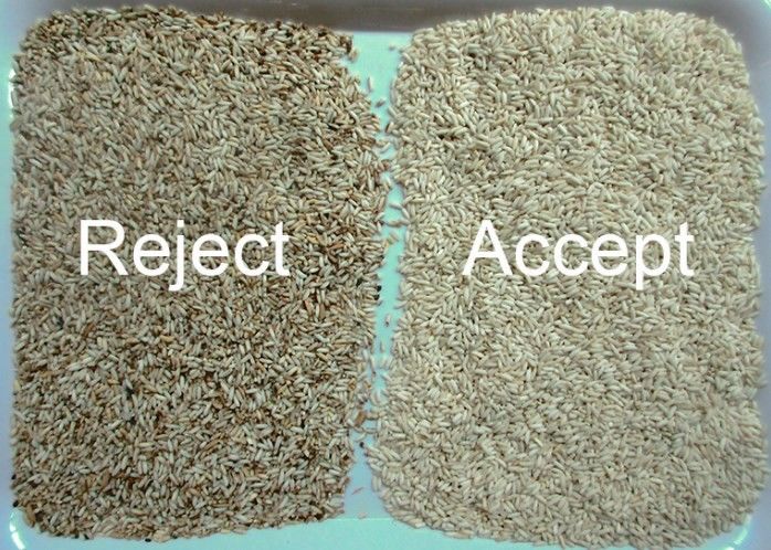 High Accuracy Long Grain Parboiled Rice Color Sorter with Intelligent AI Control