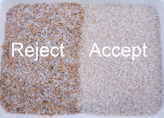 High Accuracy Long Grain Parboiled Rice Color Sorter with Intelligent AI Control