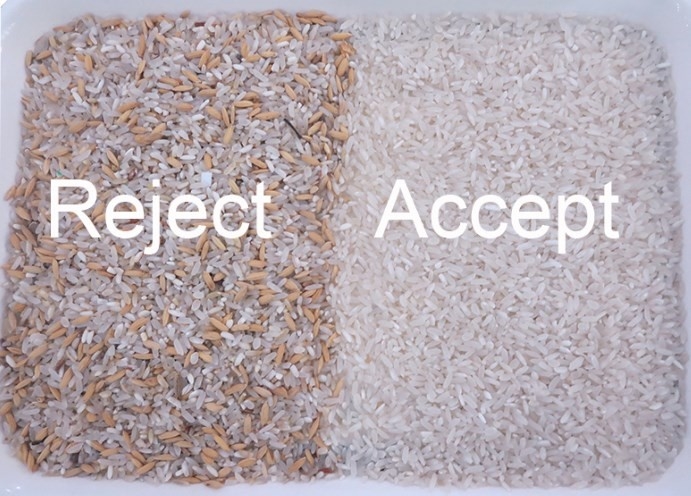 Long Grain Parboiled Rice Color Sorter Machine High Accuracy Color Sorting Machine