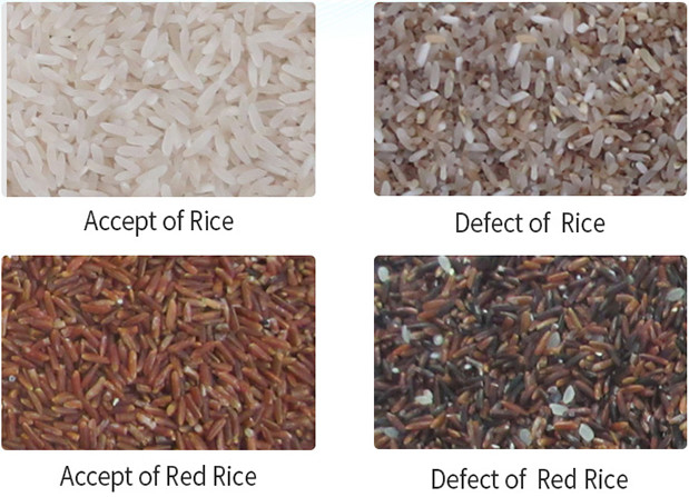 Long Grain Parboiled Rice Color Sorter Machine High Accuracy Color Sorting Machine