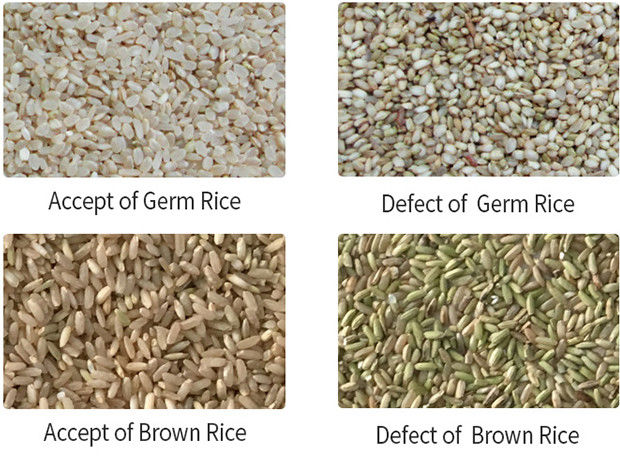 High Accuracy Long Grain Parboiled Rice Color Sorter with Intelligent AI Control