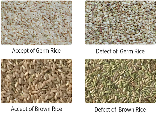 Long Grain Parboiled Rice Color Sorter Machine High Accuracy Color Sorting Machine