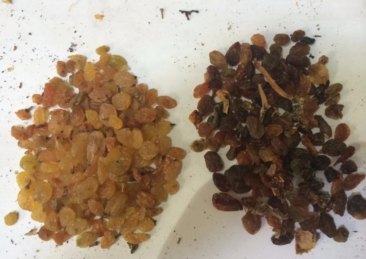 Corn Walnut Chickpea Peanut Olive Color Separator Roasted Nut Cardamom Color Sorting Machine