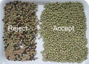 128 Channels Bean Color Sorting Machine For White Kidney Beans Optical Sorter