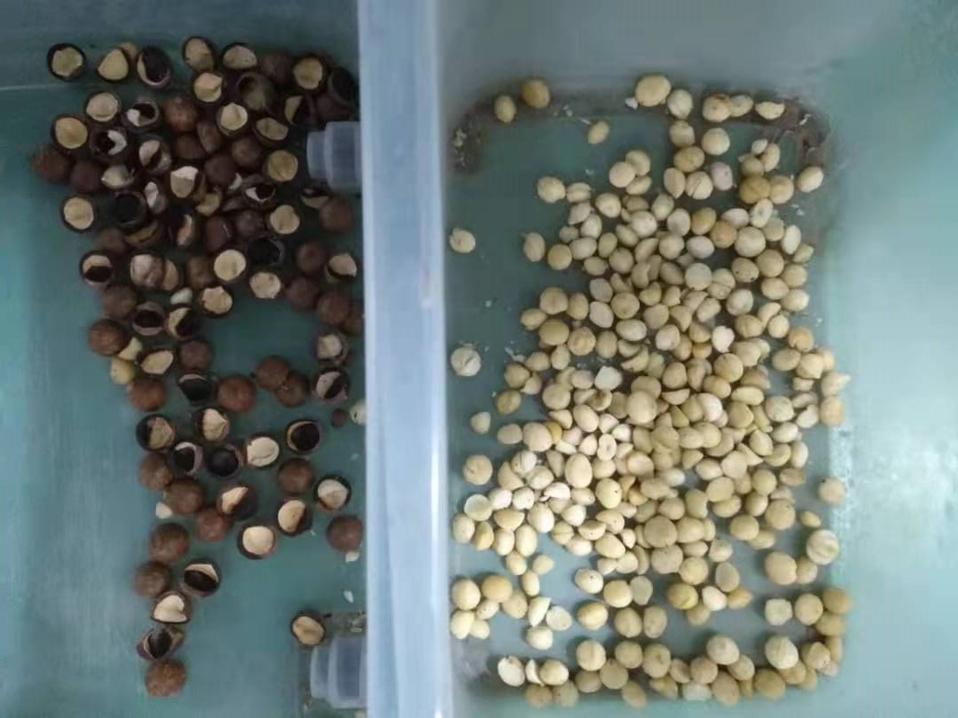 220V Cashew Nut Color Sorting Machine With Wifi Remote Control Service