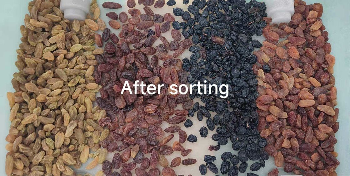 220V Cashew Nut Color Sorter Machine with Wifi Remote Control and ≥99.99% Sorting Accuracy
