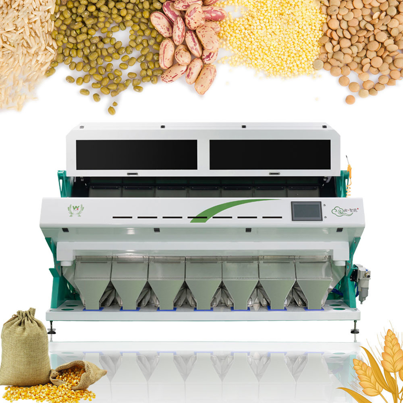 7 Chutes 448 Channels Wheat Color Sorter Machine With 99.999% Sorting Accuracy