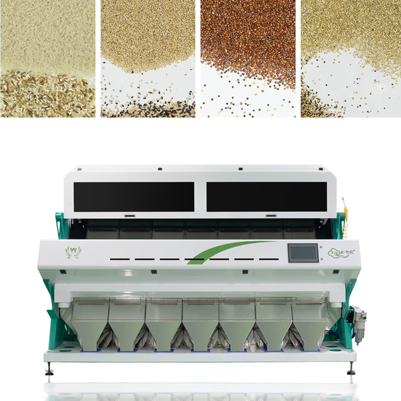 7 Chutes 448 Channels Wheat Color Sorter Machine With 99.999% Sorting Accuracy