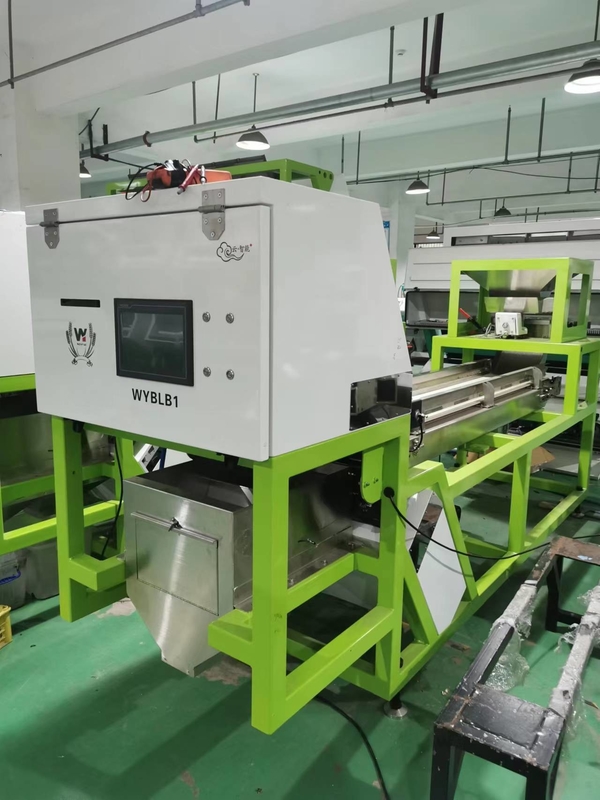Garlic Color Sorter Machine Coffee Cherry Color Sorting Machine