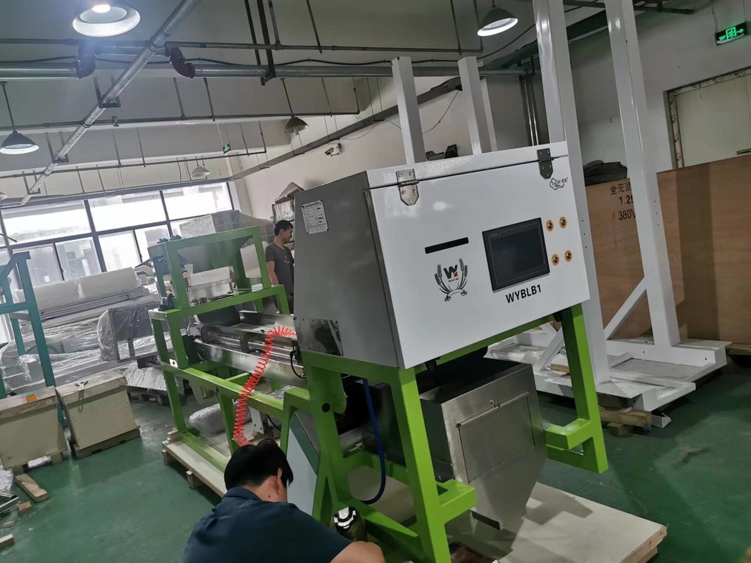 Garlic Color Sorter Machine Coffee Cherry Color Sorting Machine