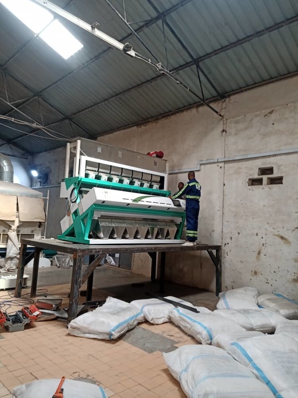 High Capacity Rice Color Sorter 0.3 - 0.9t/H 2 Years Sorting Accuracy 99.5 - 99.9%