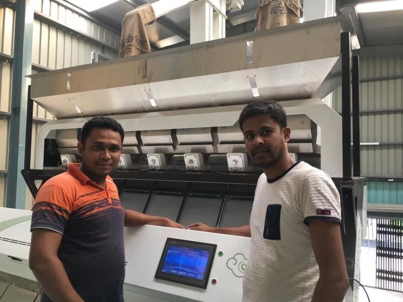 High Capacity Rice Color Sorter 0.3 - 0.9t/H 2 Years Sorting Accuracy 99.5 - 99.9%