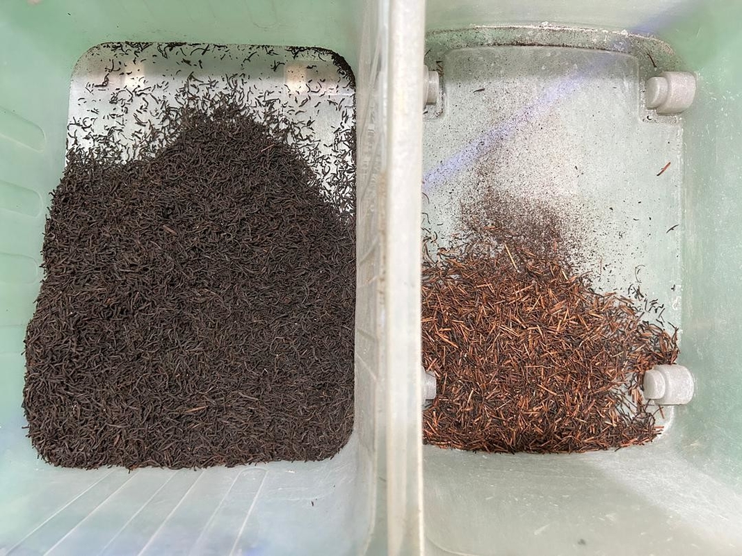 3 Chute Tea Color Sorter Manufacturer Rgb Chamomile Color Sorter Machine With Ce Certificate And Iso 9001