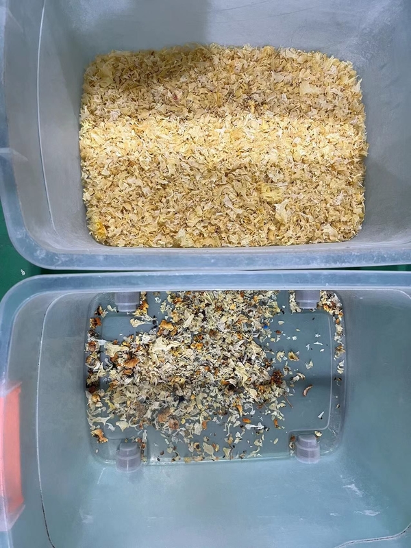 Cotton Seeds Color Sorting Machine Gaur Gum Tea Raisin Color Sorting Machine