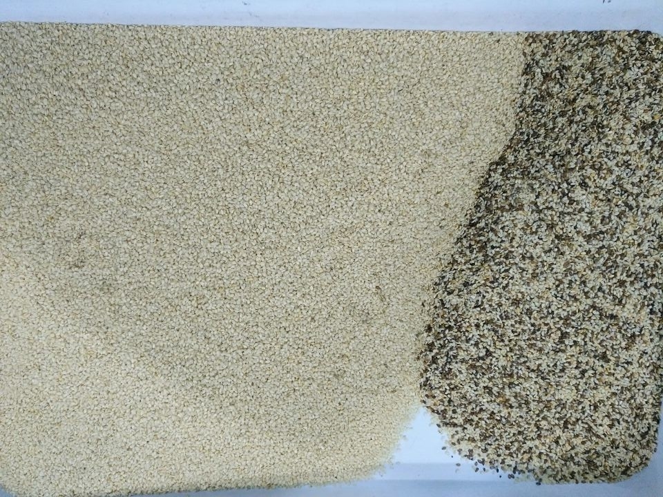 1 - 4t/H Grain Color Sorter Machine Highest Efficient Sorting