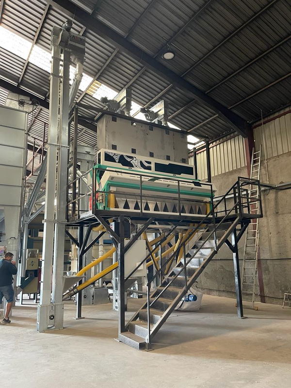 Tamarind Seed Pumpkin Seed Optical Color Sorting Machine High Throughput