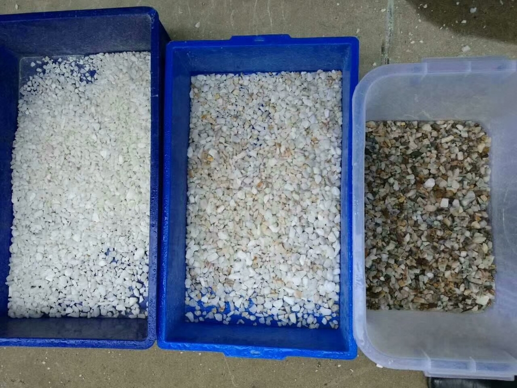 Intelligent Salt Color Sorter Machine Clean Select For Salt Processing Plant