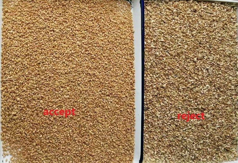 5 Chutes Moldy Wheat Color Sorter Machine Removing Mildew Wheat Optical Grain Color Sorter For Wheat Grader Separator
