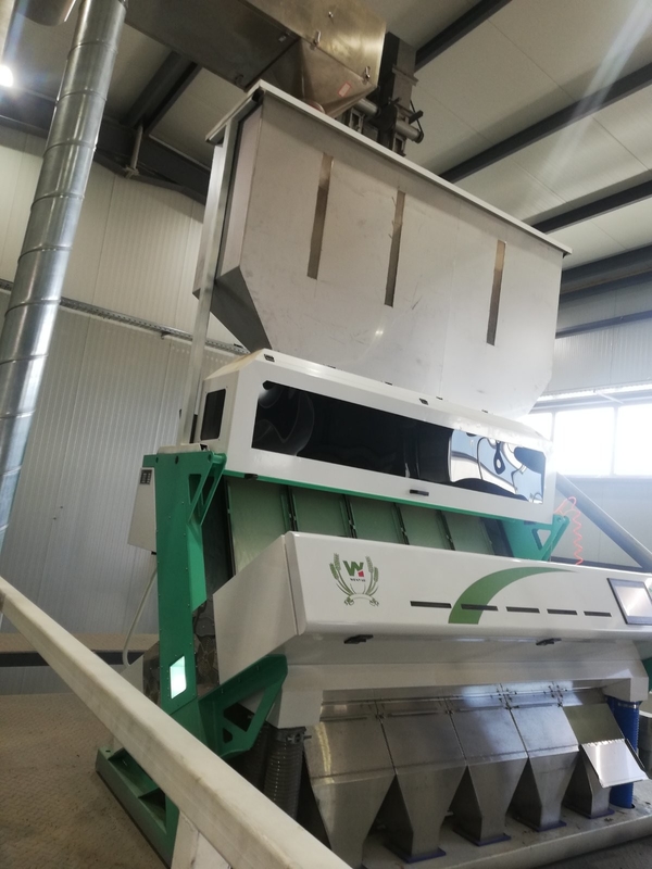 Macadamia Nut Hazelnut Color Sorter Machine And Hazelnut Color Separator Machine for Separate Hazelnut Kernel and Shell