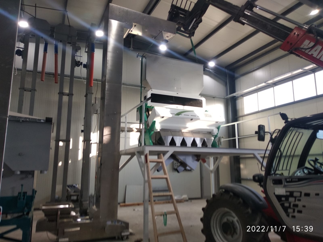 Macadamia Nut Hazelnut Color Sorter Machine And Hazelnut Color Separator Machine for Separate Hazelnut Kernel and Shell